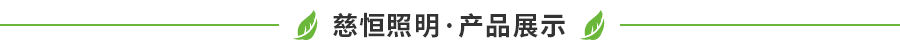 大鹏种植生长灯展示