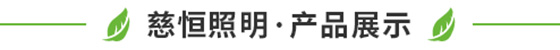慈恒照明·产品展示