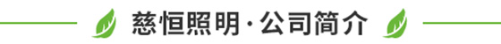 慈恒照明·公司简介