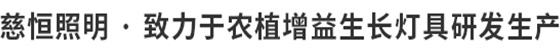 慈恒照明·研发生产 慈恒照明·研发生产