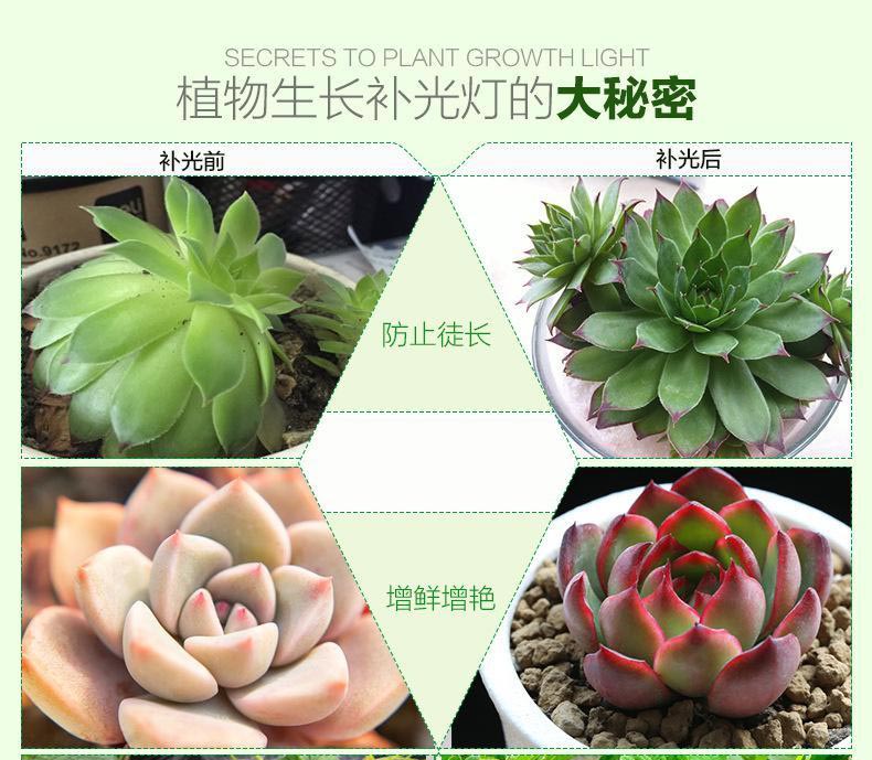 植物补光灯.jpg