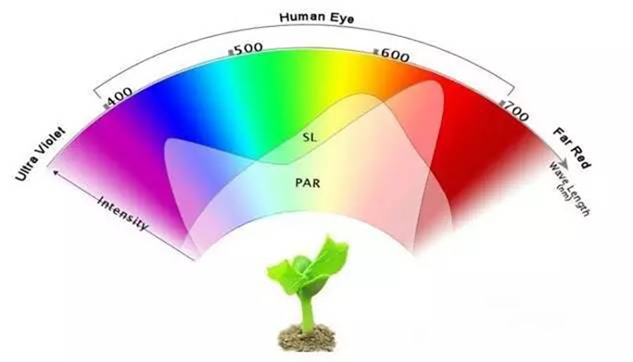 光谱 植物灯光谱.jpg